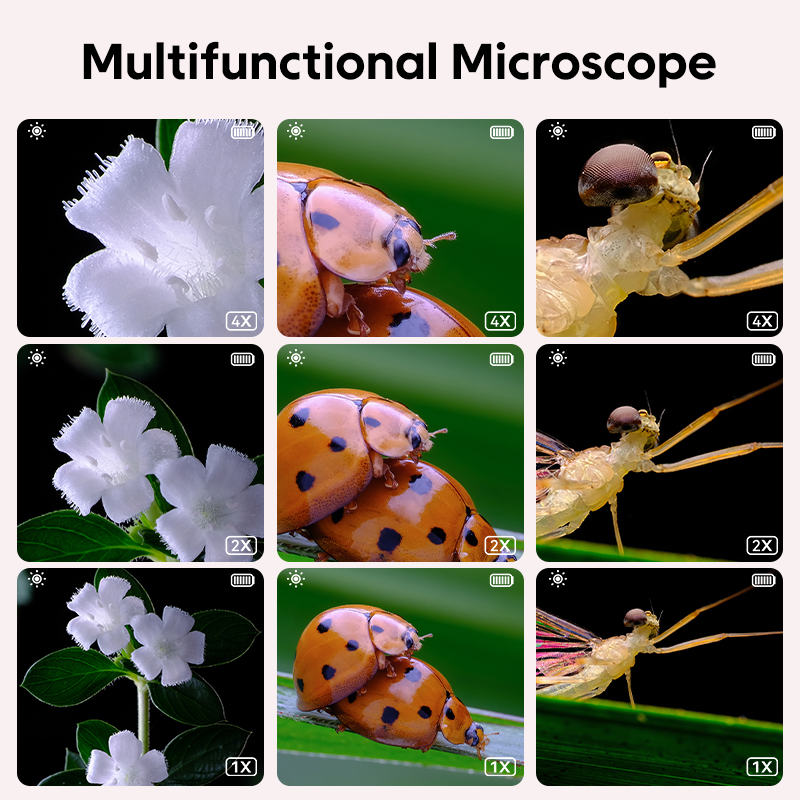 مجهر بصري صغير للأطفال مع وظيف - مراجعة Kids Educational Videos وسعره